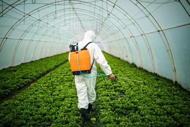 Best Mosquito Control Services  in Naples Manor, FL