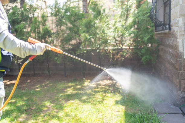 Wasp Removal Services in Naples Manor, FL