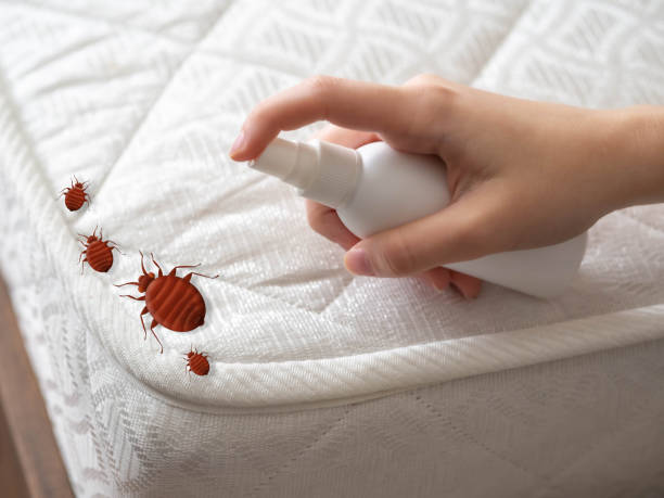 Best Pest Control Near Me  in Naples Manor, FL