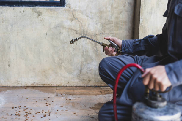 Best Rat Extermination Near Me  in Naples Manor, FL
